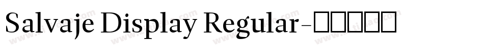 Salvaje Display Regular字体转换